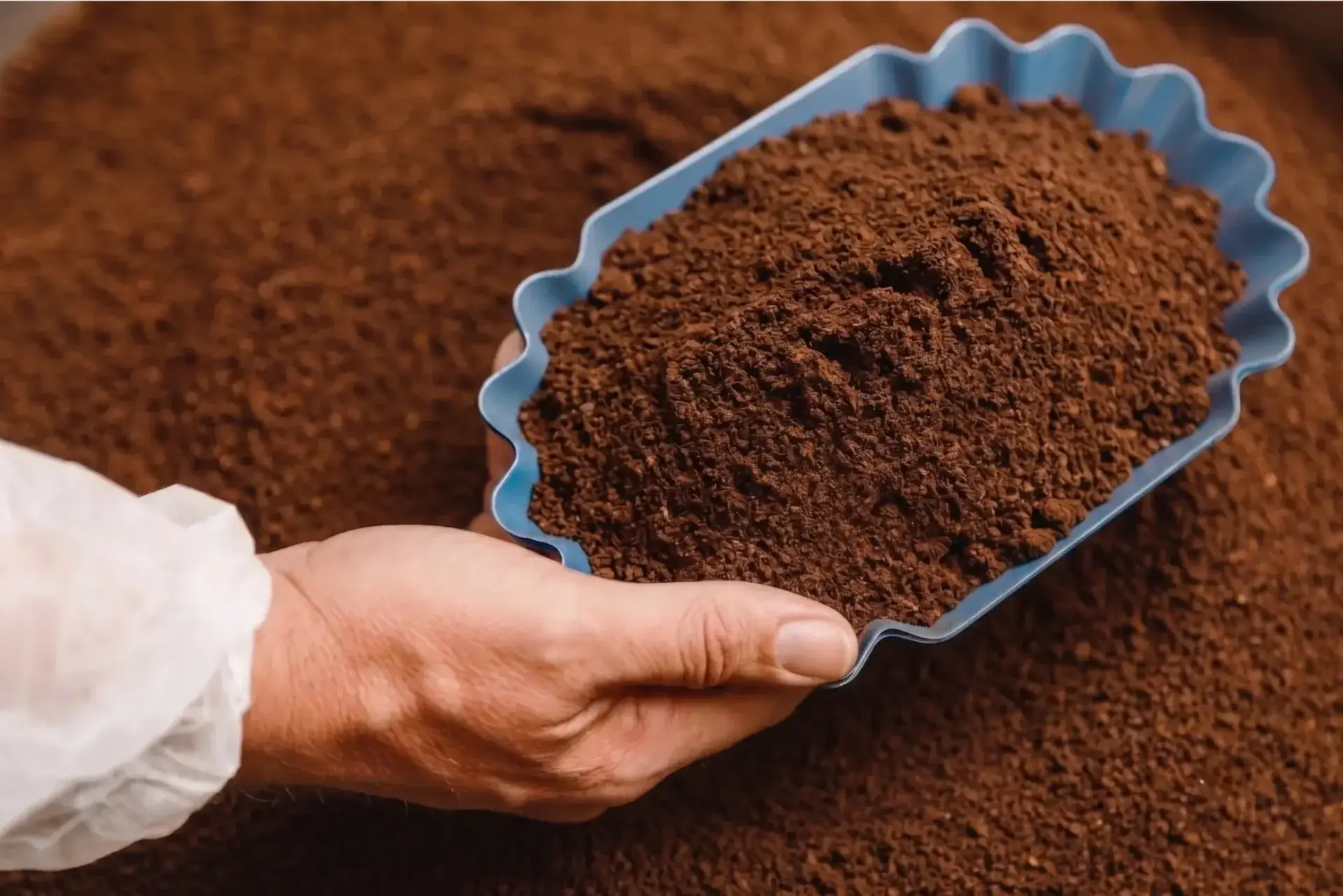 Gemalen koffie fresh brew voor koffiemachine
