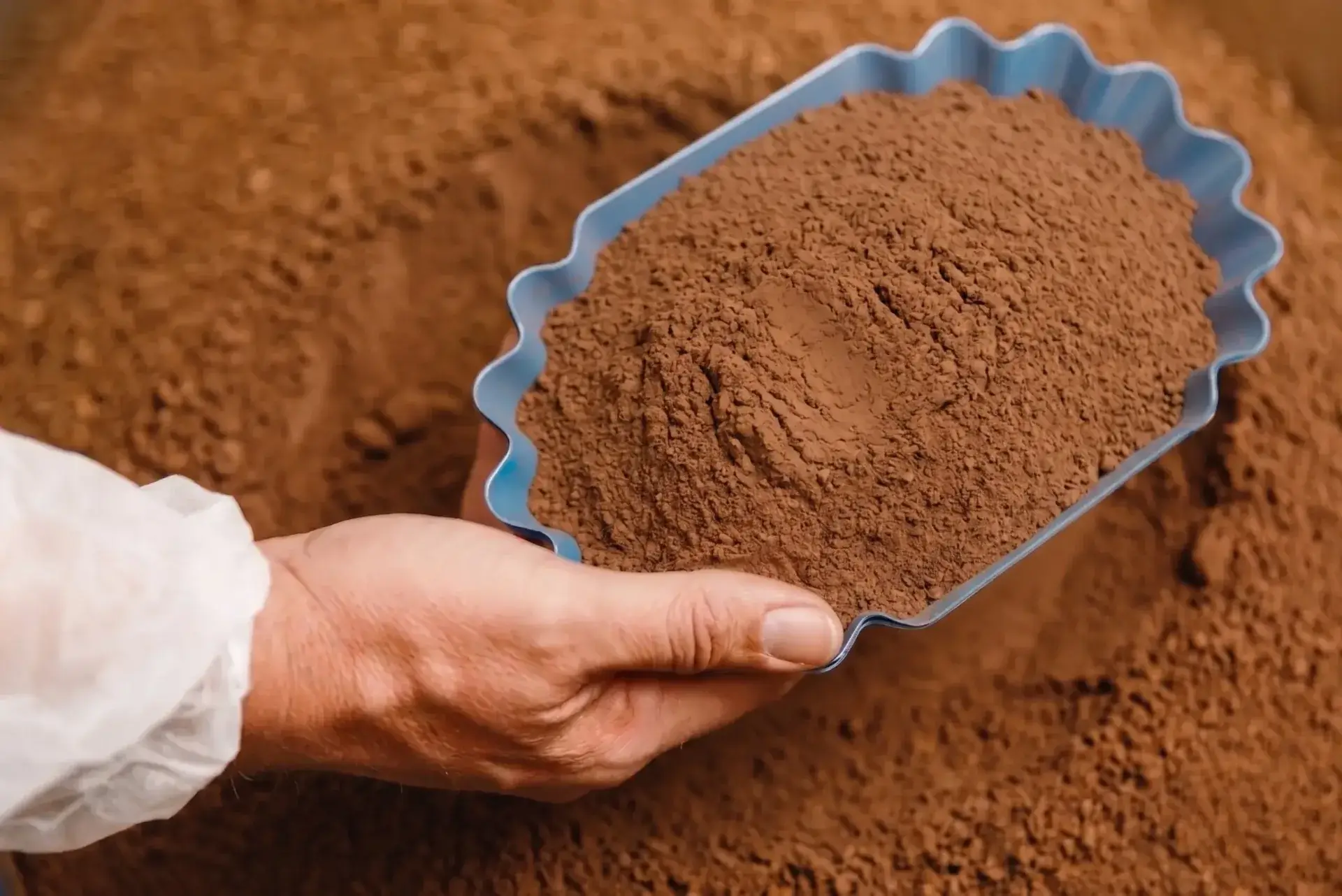 Koffiebonen Caf&eacute; Sincero